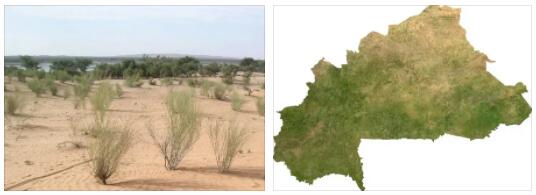 Burkina Faso Vegetation