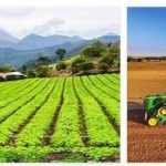 Brazil Agriculture