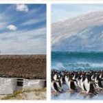 Falkland Islands Geography and Climate