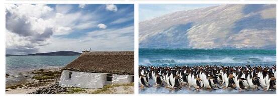 Falkland Islands Geography