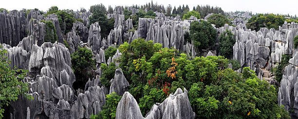 Panorama view at Shilin Stone Forest of Kunming, Yunnan, China.